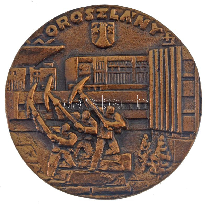 ~1960-1980. 'Oroszlány' egyoldalas bronz emlékérem (88mm) T:1-