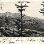 1908 Brassó, Kronstadt, Brasov; Der Bucsecs. Verlag Hiemesch / Butschetsch / Muntii Bucegi (EK)