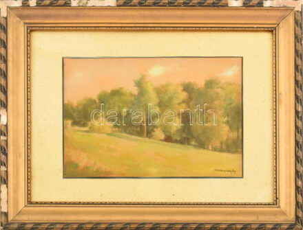 Mednyánszky jelzéssel: Erdőszéle. Akvarell, papír. Üvegezett, sérült fakeretben. Kissé foltos paszpartuval. 20x30 cm