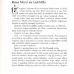 Sütő András: Volt egyszer egy édesszájú medve. Varga Tamás rajzaival. H.n., 2006, Cerkabella. Kiadói kartonált papírkötés. - Image 2