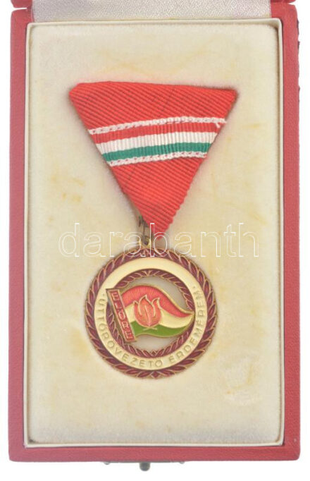 ~1980 'Úttörővezető Érdemérem' műgyantás fém kitüntetés mellszalagon, eredeti tokban T:UNC