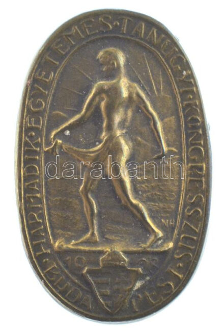 Nemes Hubert (1892- ) 1928. 'Harmadik Egyetemes Tanügyi Kongresszus - Budapest' bronz kitűző (17x21,5mm) T:XF tű hiányzik