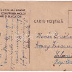~1950 Nagyvárad, Oradea; Consfatuirea micilor gradinari si silvicultori. Libraria Noastra / Kis kertészek és erdészek tanítása, propganada / small gardeners and foresters, teaching propaganda (EK) - Image 2