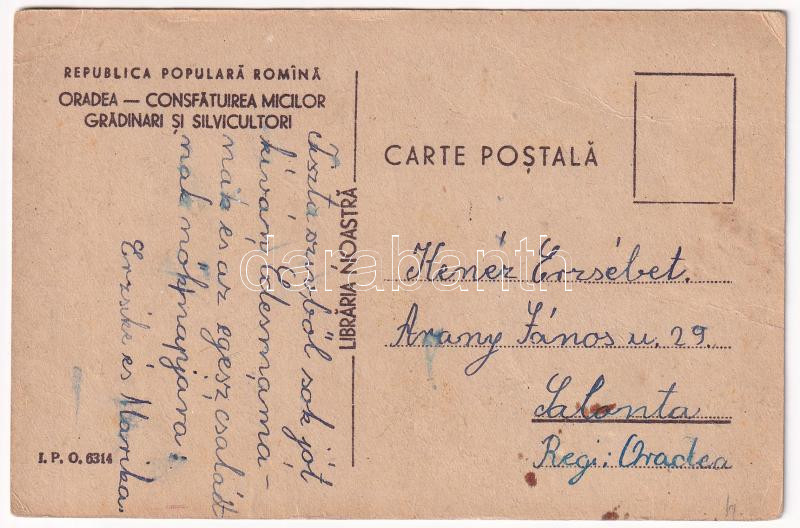 ~1950 Nagyvárad, Oradea; Consfatuirea micilor gradinari si silvicultori. Libraria Noastra / Kis kertészek és erdészek tanítása, propganada / small gardeners and foresters, teaching propaganda (EK) - Image 2