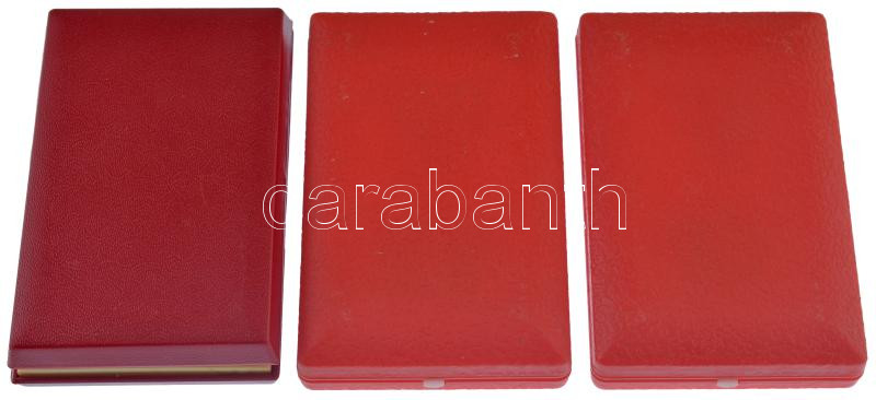 ~1970. 'Kiváló Munkáért' aranyozott, zománcozott fém kitüntetés mellszalagon, eredeti tokban (3db) egyik az egészségügyi miniatűrrel, másik a Mezőgazdasági Minisztérium miniatűrjével, a harmadik miniatűr nélkül T:AU - Image 2