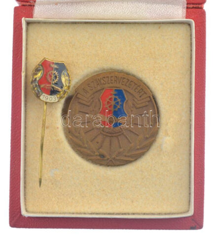 DN 'A Szakszervezetért 1903' Vasas műgyantás bronz jelvény (32mm) miniatűrrel, eredeti, sérült tokban T:AU