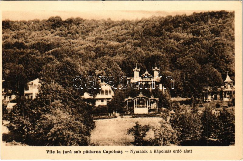 Szováta-fürdő, Baile Sovata; Nyaralók a Kápolnás erdő alatt. Eugen Vas kiadása / Vile la tara sub padurea Capolnas / Sommerfrische unter dem Kapolnaser Wald / spa, villas