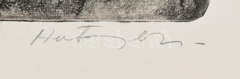 Hertay Mária (1932-2018): Orchidea. Rézkarc, papír. Jelzett. Lapszéli paszpartuzás nyomaival. . 48x23 cm - Image 2