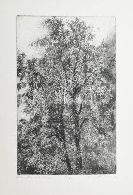 Hertay Mária (1932-2018): Akácfák. Rézkarc, papír. Jelzett. Számozott: 6/50. Lap alján rézkarcot nem érintő apró sérüléssel. 44x28 cm
