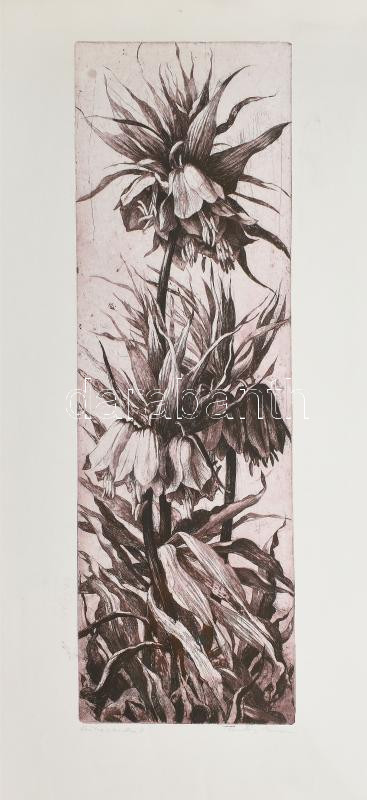 Hertay Mária (1932-2018): Császárliliom. Rézkarc, papír, jelzett, 65×20 cm