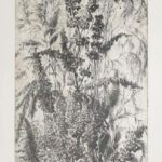 Hertay Mária (1932-2018): Füvek. Rézkarc, papír, jelzett, lap alján rézkarcot nem érintő apró szakadásokkal, 75×30 cm