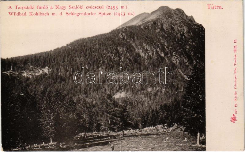 Tátra, Vysoké Tatry; Tarpataki fürdő a Nagy Szalóki csúcs. Feitzinger Ede 1902. 12. 327. Ps. / Wildbad Kohlbach m. d. Schlagendorfer Spitze