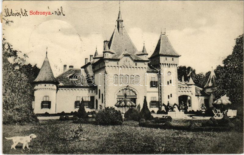 1909 Sofronya, Sofronea; Purgly kastély / castle (EK)