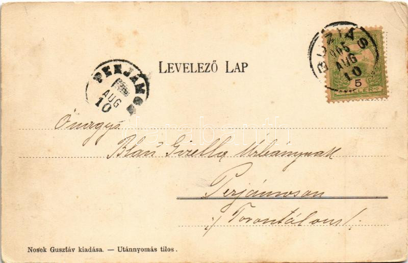 1905 Buziásfürdő, Baile Buzias; látkép. Nosek Gusztáv kiadása / general view, spa (EK) - Image 2