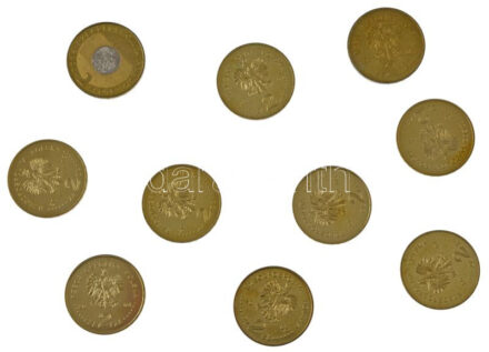 Lengyelország 2000-2009. 2Zl Cu-Zn-Al forgalmi emlékérmék, vegyes témákban (10xklf) T:AU,XF Poland 2000-2009. 2 Złote Cu-Zn-Al commemorative coins with various themes (10xdiff) C:AU,XF