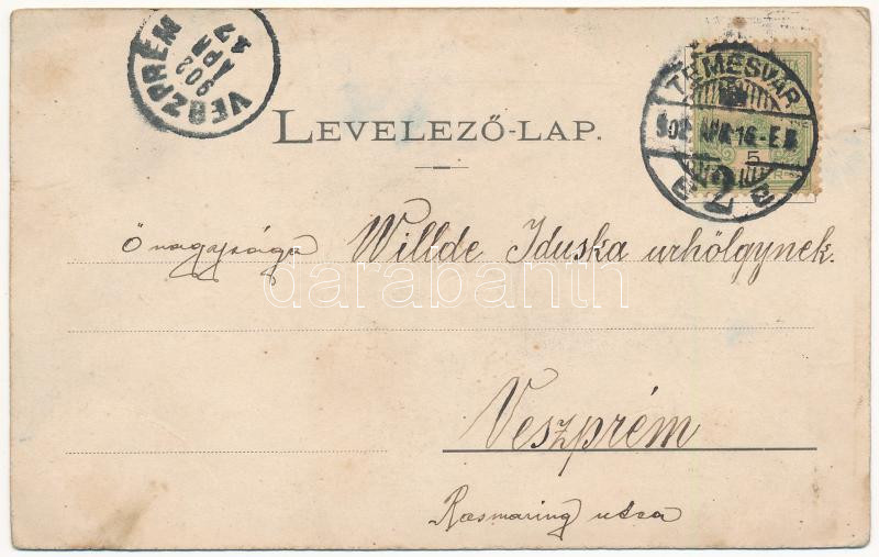 1902 Temesvár, Timisoara; Római katolikus templom. J. Raschka / church (ázott / wet damage) - Image 2