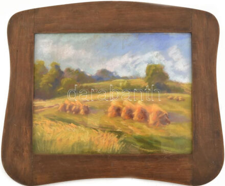 Bertalan Rózsa (1900-1987): Napfényes mező, 1930-as évek. Pasztell, papír, jelzés nélkül, jobbra lent autográf, nehezen olvasható datálással, 21x29 cm. Dekoratív, üvegezett fakeretben.