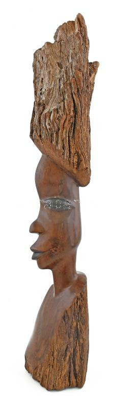 Afrikai fafaragás, m: 50 cm