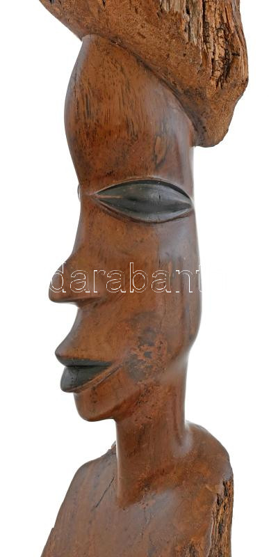 Afrikai fafaragás, m: 50 cm - Image 3