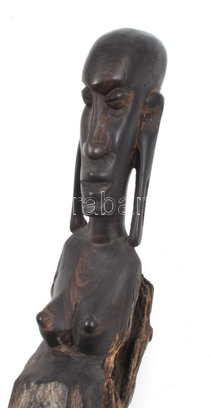 Afrikai fafaragás, m: 63 cm - Image 2