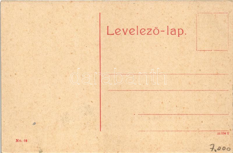Marosvásárhely, Targu Mures; Igazságügyi palota. W.L. (?) No. 46. / palace of justice - Image 2
