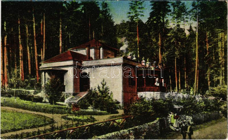 Bártfa, Bártfafürdő, Bardejovské Kúpele, Bardiov, Bardejov; Gül Baba villa. Neumann Viktor kiadása / villa, spa (vágott / cut)