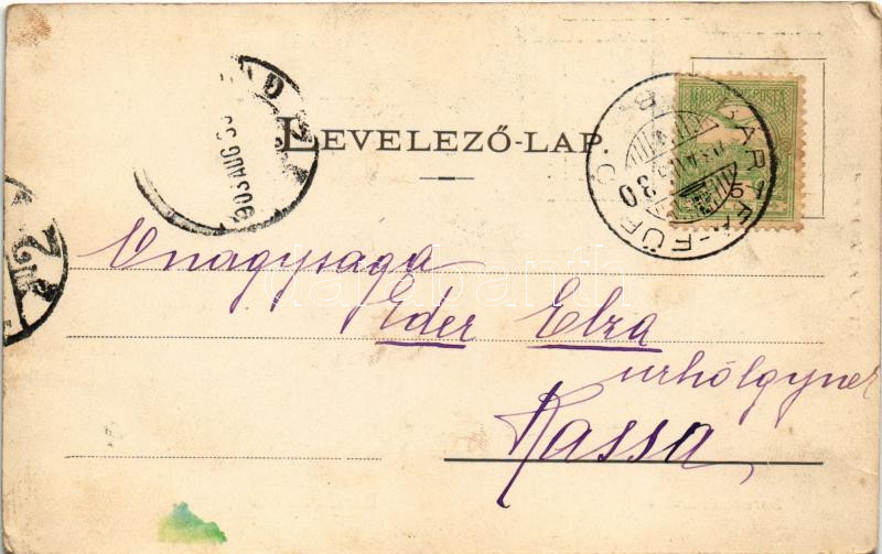 1903 Bártfa, Bártfafürdő, Bardejovské Kúpele, Bardiov, Bardejov; Bornemissza villa. Divald Adolf 154. / villa, spa (EK) - Image 2