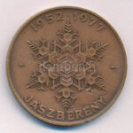 1977. '25 éves a Lehel hűtőgépgyár / 1952-1977 Jászberény' kétoldalas bronz emlékérem (42,5mm) T:XF patina, ph - Image 2