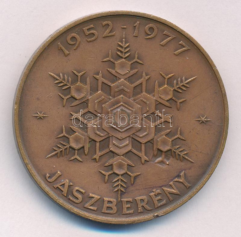 1977. '25 éves a Lehel hűtőgépgyár / 1952-1977 Jászberény' kétoldalas bronz emlékérem (42,5mm) T:XF patina, ph - Image 2