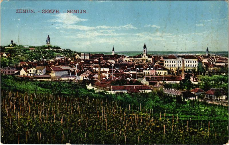 1914 Zimony, Semlin, Zemun; szőlőhegy. Milan Ilkic / vineyards (fl)