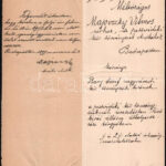 1896 Bary József, a tiszaeszlári per egykori vizsgálója által írt kérvény - Image 3