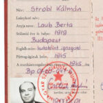1953-1989 Egy személy 5 db párttagsági könyve - Image 2