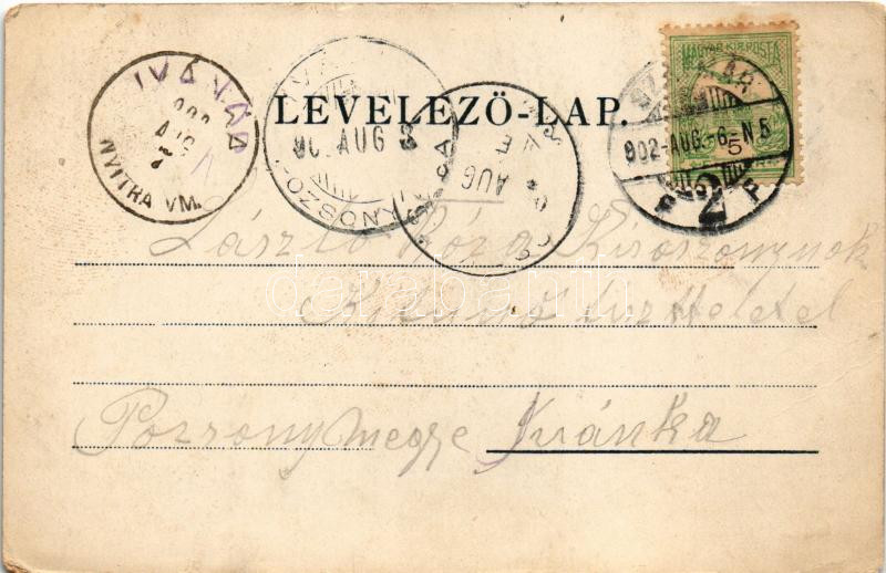 1902 Szatmárnémeti, Satu Mare; Löwy M. Art Nouveau, floral, litho (EK) - Image 2