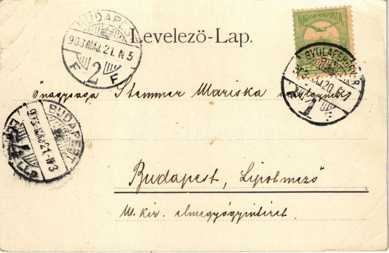 1903 Gyulafehérvár, Karlsburg, Alba Iulia; Károly-kapu. Atelier Bach / Karlstor / castle gate (EB) - Image 2