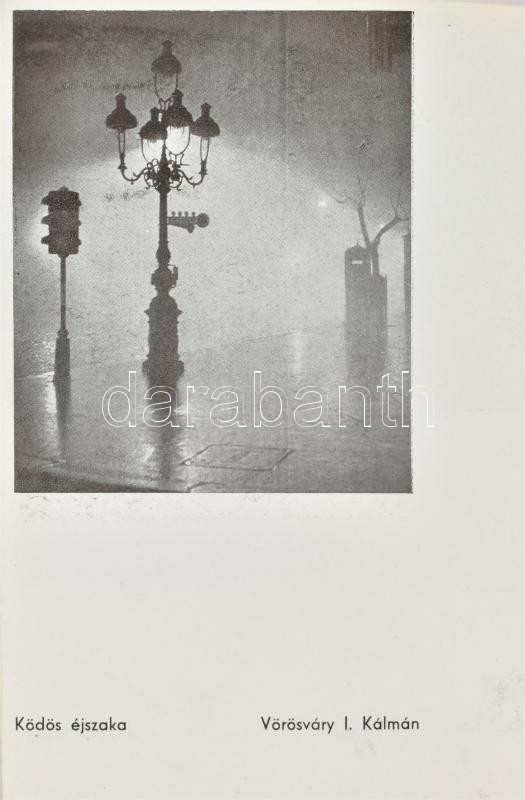 Fényképezés 1942. A Ceglédi Iparos Fotoszakosztály megbízásából az 1941. évi ceglédi Nemzeti Művészi Fényképkiállítás és Irodalmi Fotopályázat anyagából összeáll. és kiadja: ifj. Kaczur Pál. Cegléd, 1942, Garab - Image 2