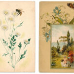 9 db főleg MODERN motívum képeslap: pillangók és rovarok / 9 mostly modern motive postcards: butterflies and insects