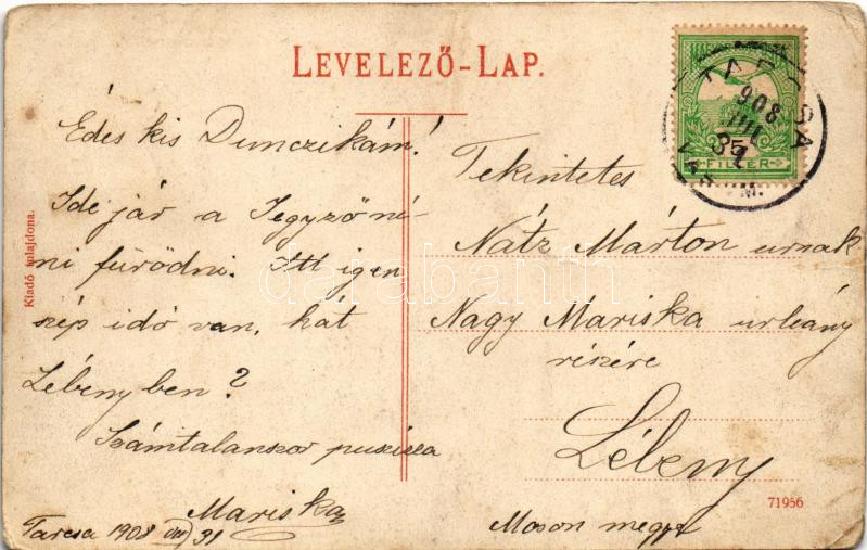 1908 Tarcsafürdő, Bad Tatzmannsdorf; Vízgyógyintézet / spa, bath / Wasserheilanstalt (EK) - Image 2