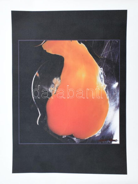 Tobischka Gabriella: Tojásakt. Fotó, digitális print, vászon. Jelzett. Feltekerve. 34x23 cm.