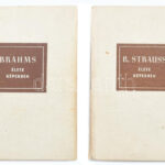 R. Strauss élete képekben + Brahms élete képekben. Bp., 1960, 1961, Zeneműkiadó Vállalat. Kiadói kartonált kötés, kopottas állapotban.
