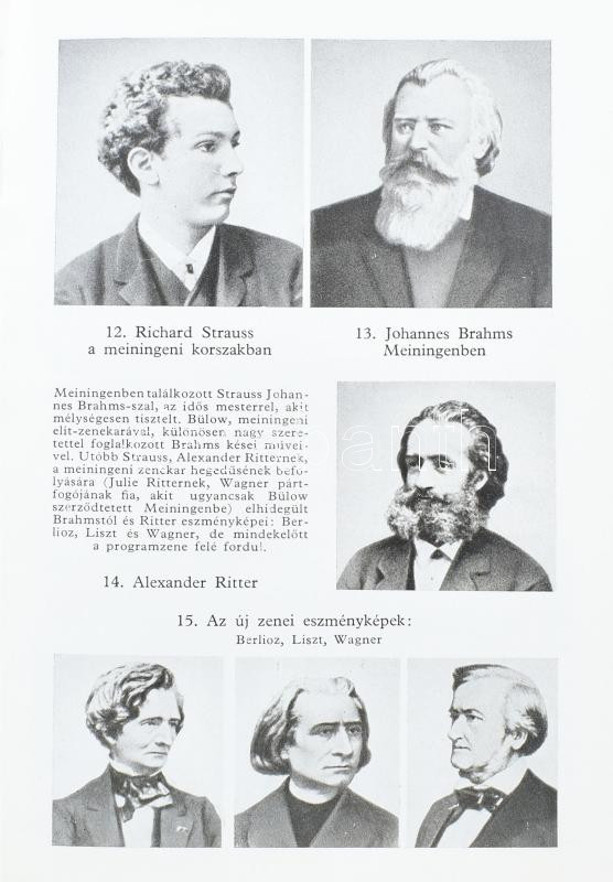 R. Strauss élete képekben + Brahms élete képekben. Bp., 1960, 1961, Zeneműkiadó Vállalat. Kiadói kartonált kötés, kopottas állapotban. - Image 3