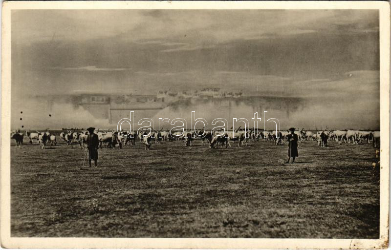 1940 Hortobágy, Délibáb a Hortobágyon, magyar folklór (EK)