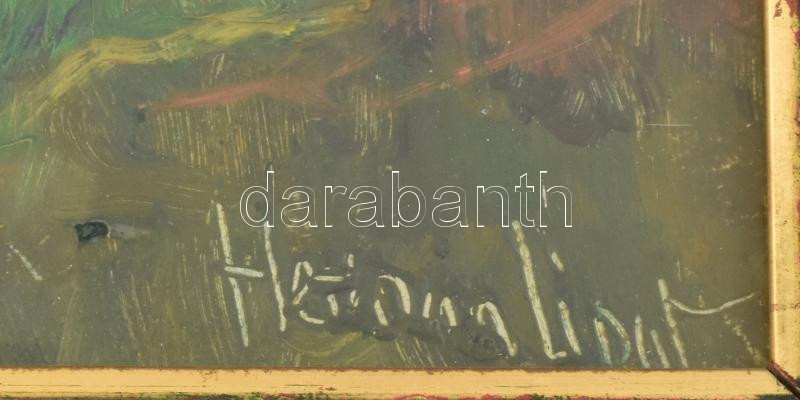 Herman Lipót (1884-1972): Kilátás a fák között. Olaj, farost, jelezve jobbra lent. Hátoldalán autográf felirattal és Képcsarnok Vállalat címkéjével. Dekoratív, üvegezett, kissé sérült fakeretben, 33×46 cm. - Image 3