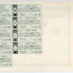 Rum 1925. 'Rum és Vidéke Részvénytársaság' 100db részvénye egyben, összesen 100.000K-ról, szelvényekkel, szárazpecséttel, bélyegzéssel T:XF fo. - Image 2