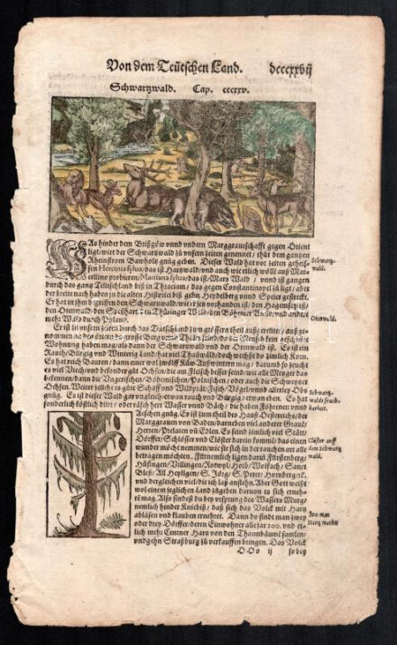 1560 Feketeerdő vadállatokkal, színezett fametszetű illusztráció, papír, In: Sebastian Münster: Cosmographie, kissé foltos, az egyik szélén kis szakadásokkal, 33x20 cm