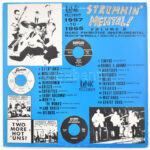 Various - Strummin' Mental! Rock 'n' Roll! Wailin' & Poundin'!!! 1957 to 1965 Volume 2. Vinyl, LP, Compilation. Link Records. Amerika. jó állapotban - Image 2