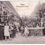 Facset, Facsád, Faget; Restaurantul Torma / Torma étterem. Atelier Petrovics / restaurant (Rb)