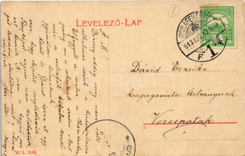 1913 Gyulafehérvár, Alba Iulia; Hunyadi tér, piac. W.L. 3165. / square, market (EB) - Image 2