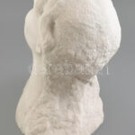 Shey jelzéssel: Női büszt. Faragott márvány, korának megfelelő állapotban, m: 34 cm - Image 4