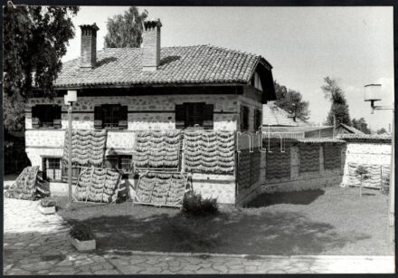 Engi László: Szárad a dohány, nagyméretű fotó hátoldalon feliratozva, 39,5×27,5 cm