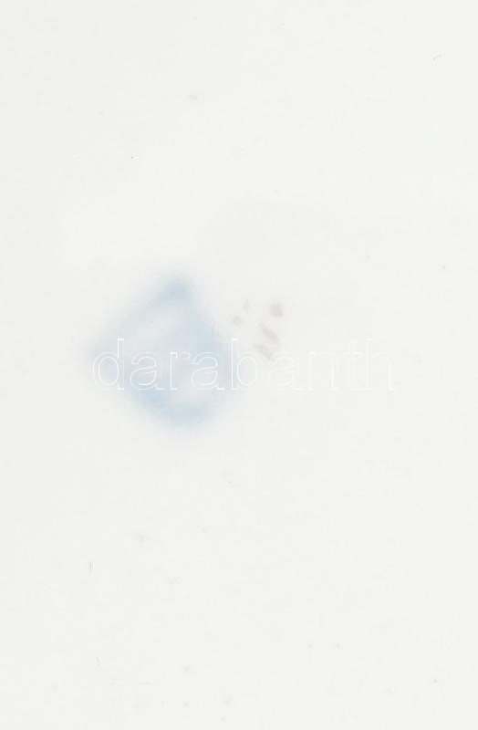 Cseh Alt Wien porcelán csésze. aranyozott, jelzett kis kopással - Image 4